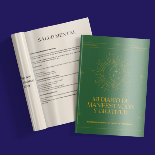 MI diario de manifestación y gratitud